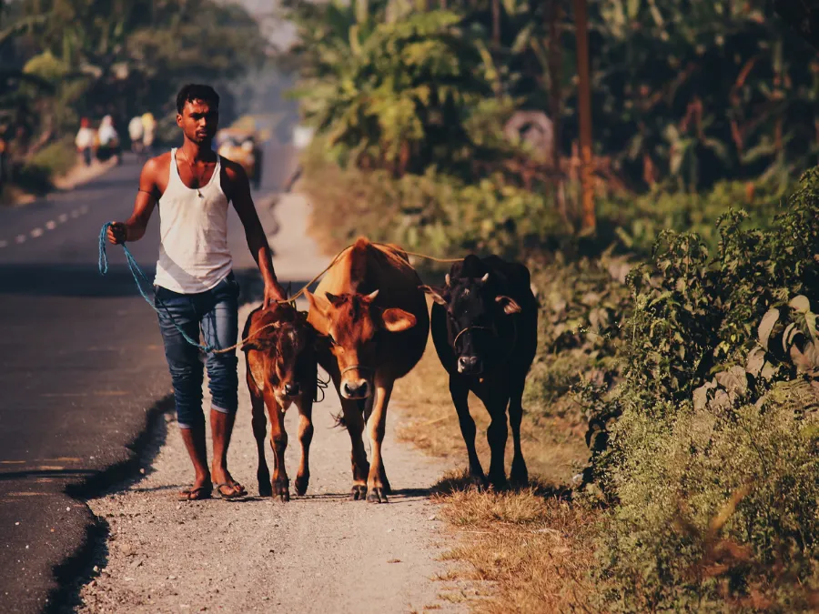 Traditional Village